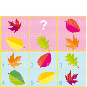 Welches Blatt fehlt im Feld mit dem Fragezeichen, wenn alle Blätter verschieden sein sollen?