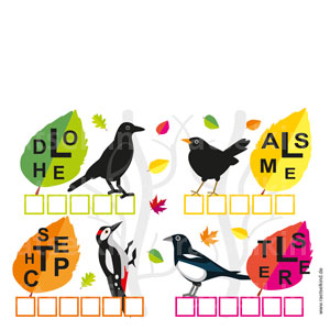 Buchstabenrätsel Vögel