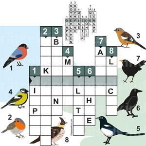 Kreuzworträtsel Vogelnamen