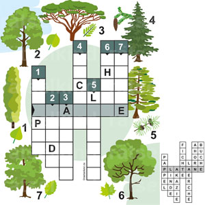 Kreuzworträtsel Bäume