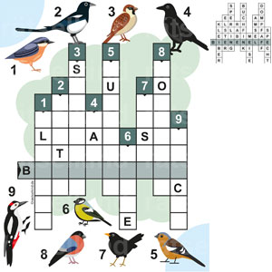 Kreuzworträtsel Vogelnamen Vögel