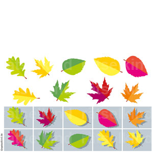 Rätsel für Kinder Bilderrätsel Suchrätsel Draußen sein Blatt Blätter Herbst Laub Bäume Baum