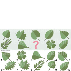 Kinderrätsel Vergleichsrätsel Herbst Blatt Blätter Laub Laubbaum Laubbäume Baum Bäume