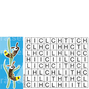 Tierrätsel Leseanfänger Vorschule Grundschule Buchstaben Glühwürmchen Käfer Licht Lichtzeichen