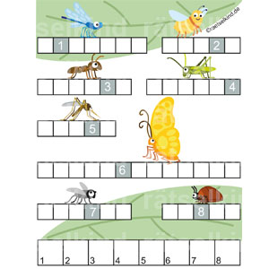 Rätsel für Kinder Insekten Libelle Biene Ameise Grille Mücke Schmetterling Fliege Wanze