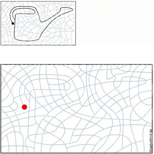 Kinderrätsel Linie Linien nachzeichnen Stift Gießkanne Blumen Garten Gartenarbeit Beet Wasser