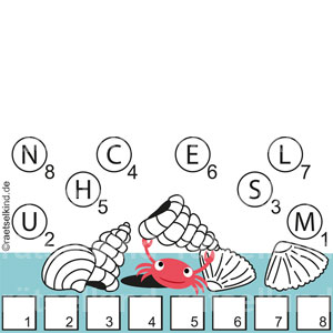 Kinderrätsel Meer Meeresboden Krebs Muscheln Schneckenhäuser Einsiedlerkrebse Meerestiere