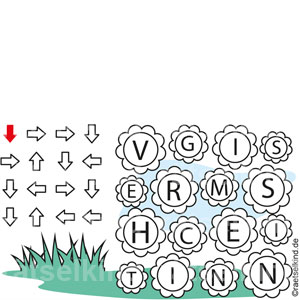 Pflanzenrätsel Blumen Blumenwiese Wiese Blühten Vergissmeinnicht Frühling Frühblüher Lila