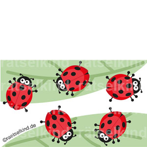 Vergleichsrätsel für Kinder Käfer Glück Glückskäfer Marienkäfer Deckflügel Punkte Flügel