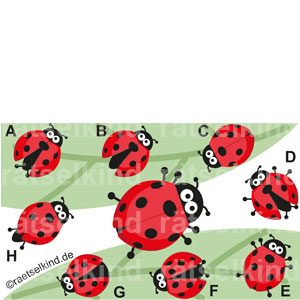 Käfer Glück Glückskäfer Marienkäfer Vergleichen Tierrätsel Rätsel für Kinder Insekten Naturrätsel