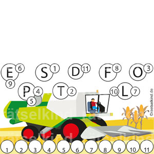 Stoppelfeld Nutzpflanze Getreide Mais Maiskolben Maiskorn Zuckermais Tierfutter Biogas