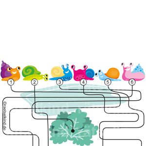 Gartenlabyrinth Sommer Salat Labyrinth Irrgarten Schneckenrätsel Schnecken Gehäuseschnecken