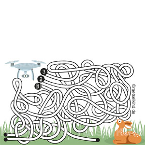 Rätsel für Kinder Labyrinth Rehkitz Gras Mahd Drohnen mit Kamera Wiese Heugewinnung Silage Heu