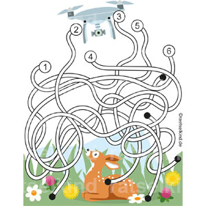 Labyrinth Rätsel Rehkitz Wildtiere Gras Mahd Drohnen Wiese Heugewinnung Silage Heu