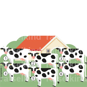 Kinderrätsel Landwirtschaft Vergleichsrätsel Rinder Rind Kühe Kuh Weide Bauernhof