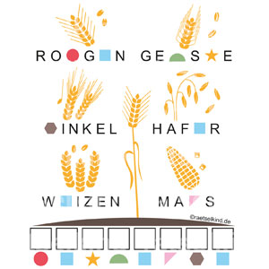 Getreideernte Getreide Roggen Gerste Dinkel Hafer Weizen Mais Getreidekorn Samenkorn Samen