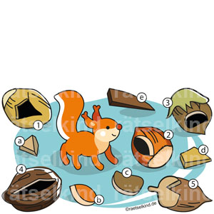 Kinderrätsel Bilderrätsel Herbst Wintervorrat Eichhörnchen Schalenobst Nüsse Nuss Nussschalen Puzzle