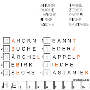 Rätsel für Kinder Baumrätsel Baumarten Baum Laubbaum Nadelbaum Buchstaben sortieren Alphabet Grundschule